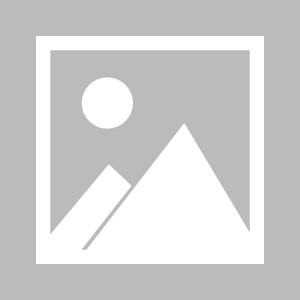 网页版登录-钟南山：中国男篮在亚洲杯中展现出的精神尤为可贵，这种拼搏精神是中国体育需要的