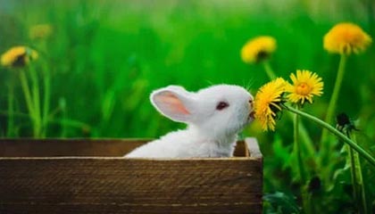 宁波男篮分享休赛期视频：热爱可填山海，篮球不止篮球